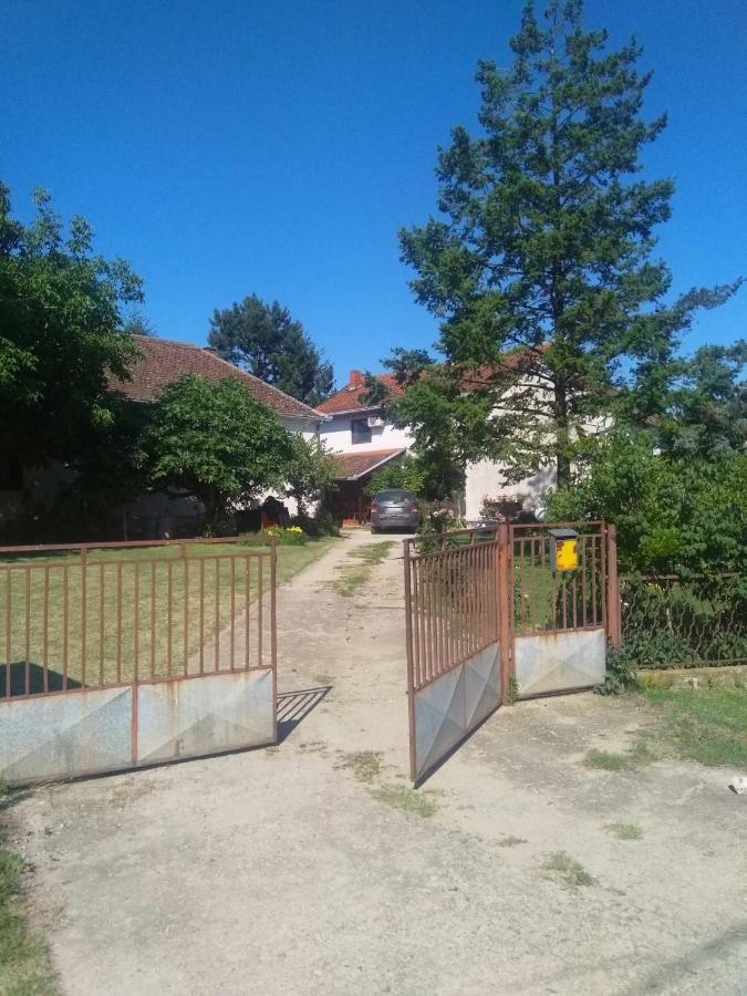 Family Apartman Ana - Star Golubac Exterior foto