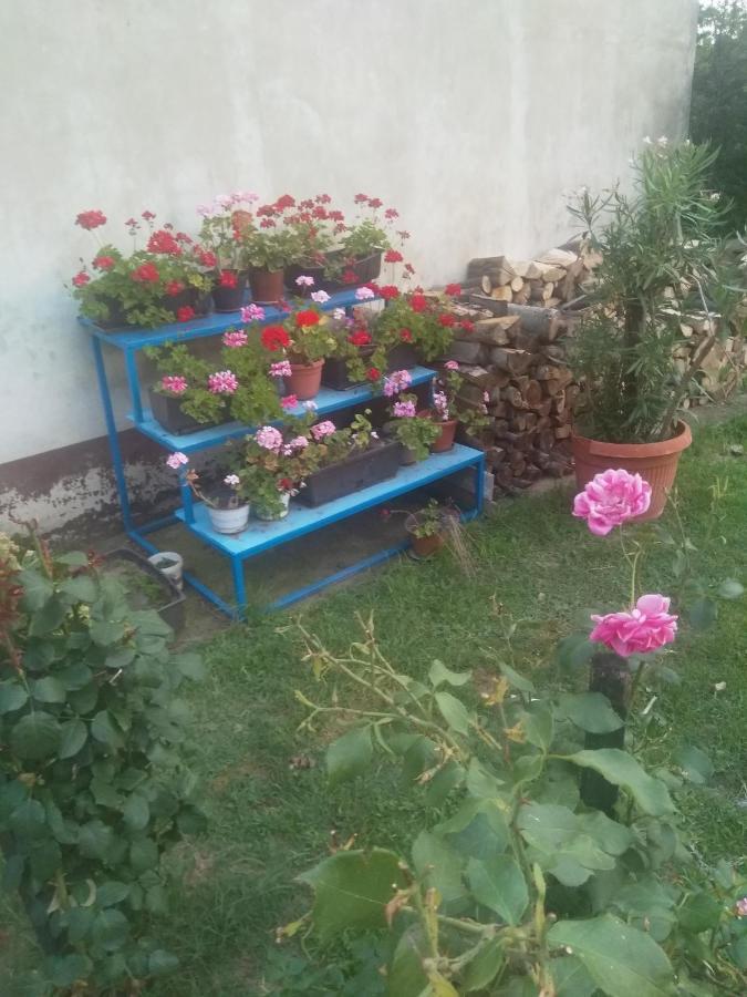 Family Apartman Ana - Star Golubac Exterior foto